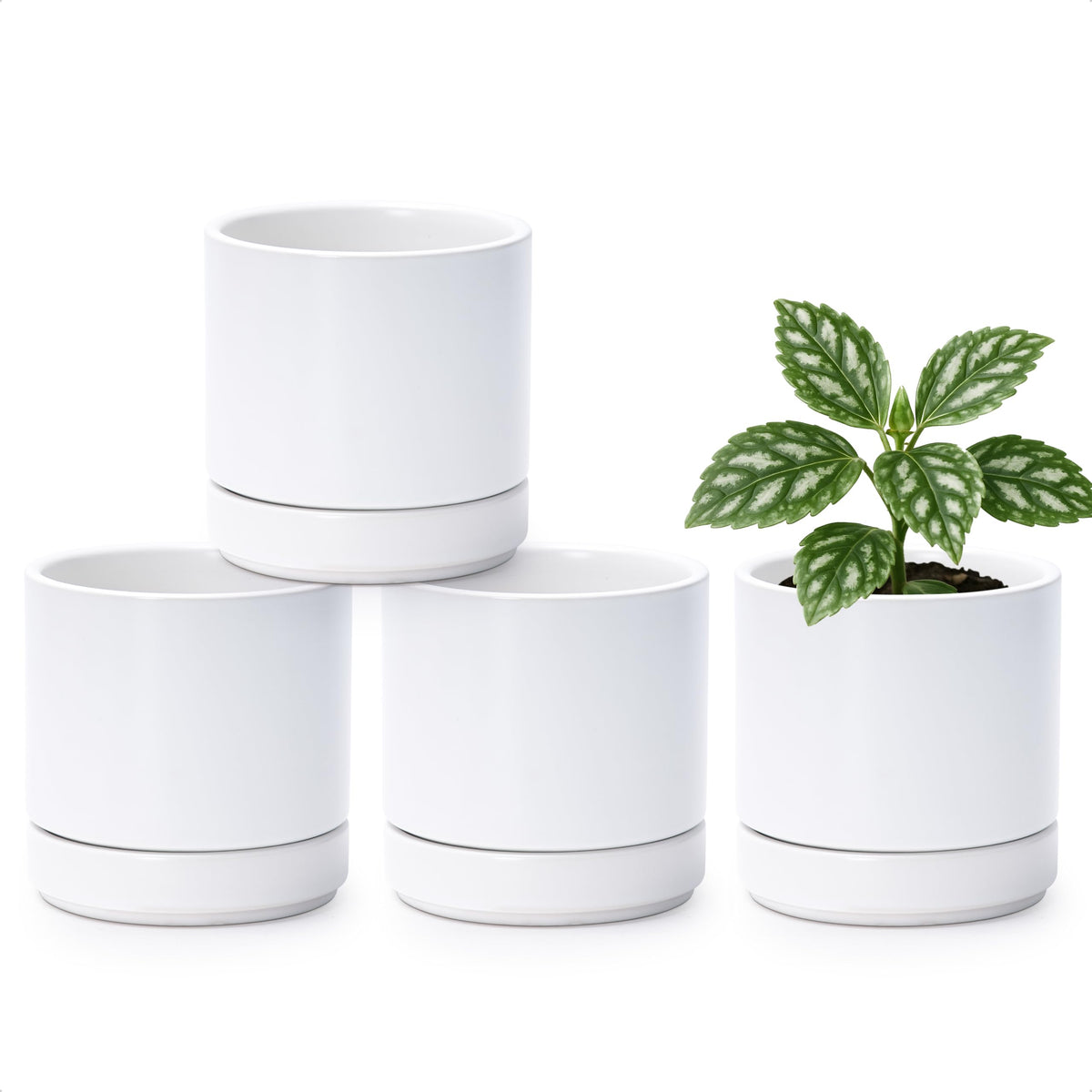 D'vine Dev set of 4 small ceramic pots with drainage, ideal for compact succulent displays