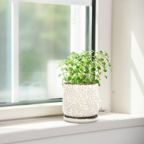 D'vine Dev set of two planters suitable for indoor or outdoor use