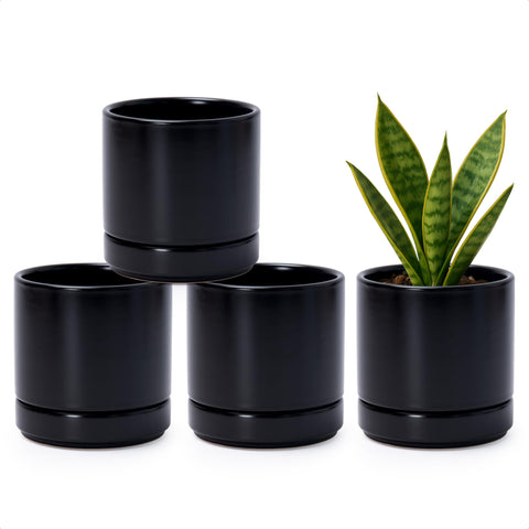 D'vine Dev set of four small pots, front view, ideal for compact plants.