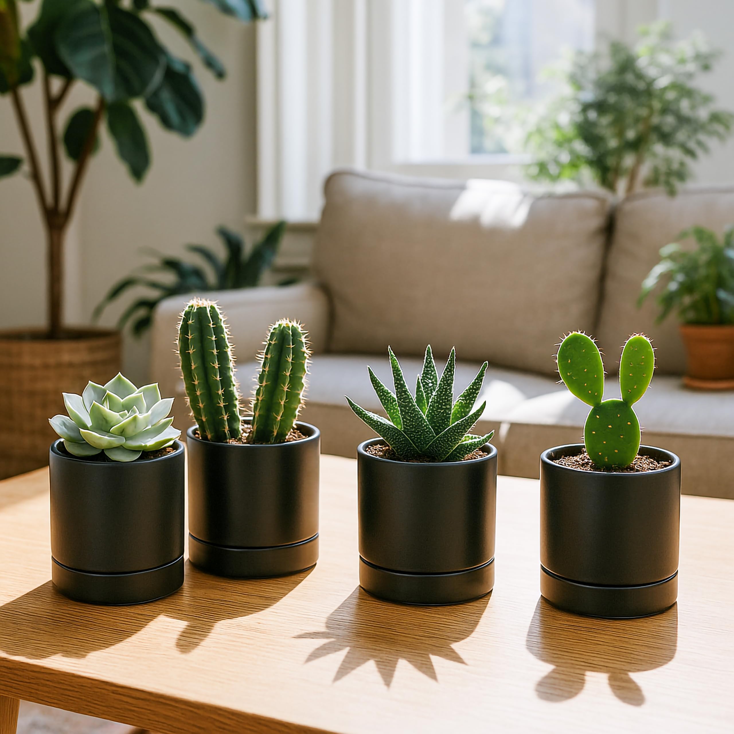 D'vine Dev pot set, side view, showcasing minimalist black finish.