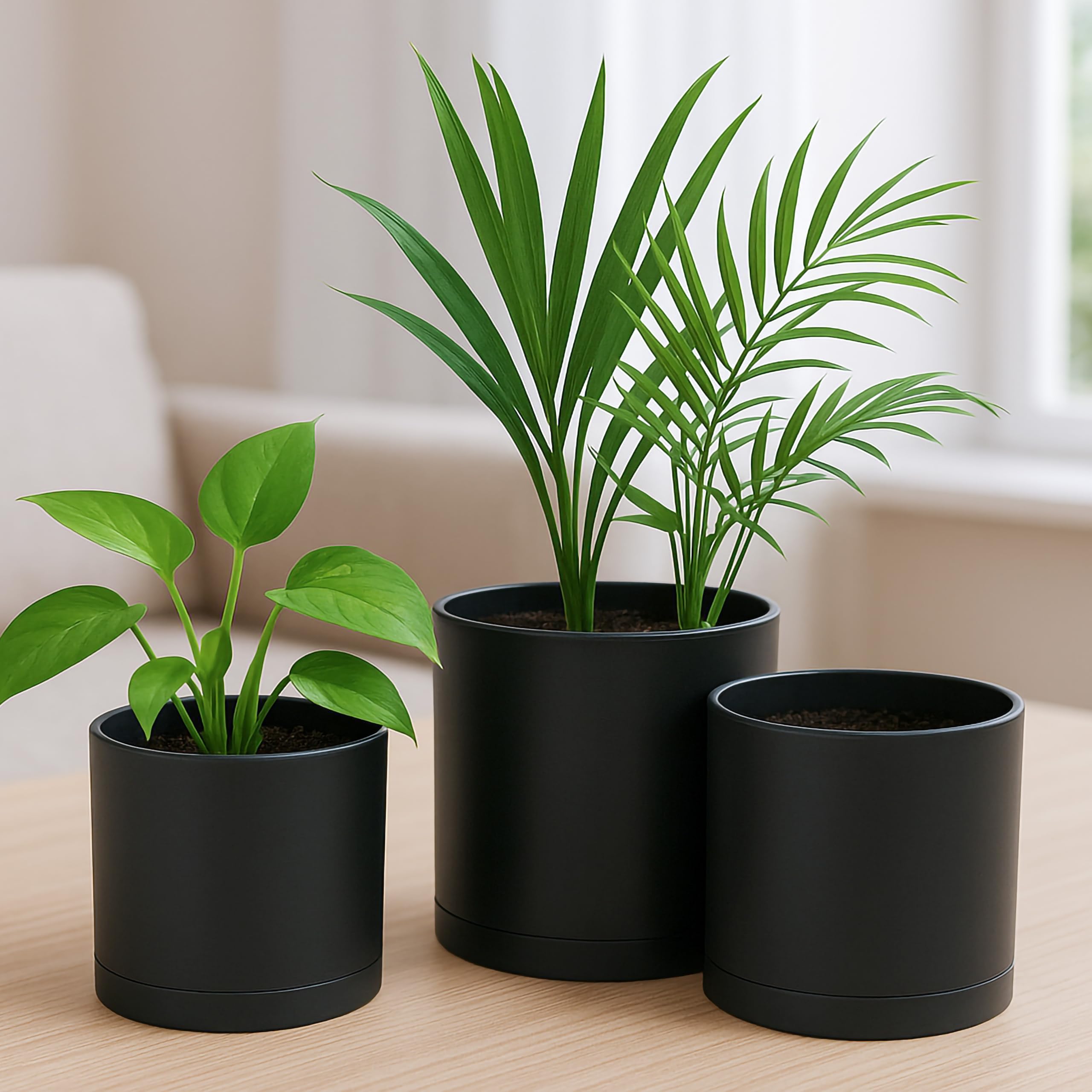 D'vine Dev small set of three black planter pots suitable for compact planting.