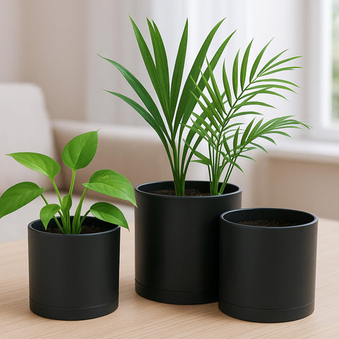 D'vine Dev small set of three black planter pots suitable for compact planting.