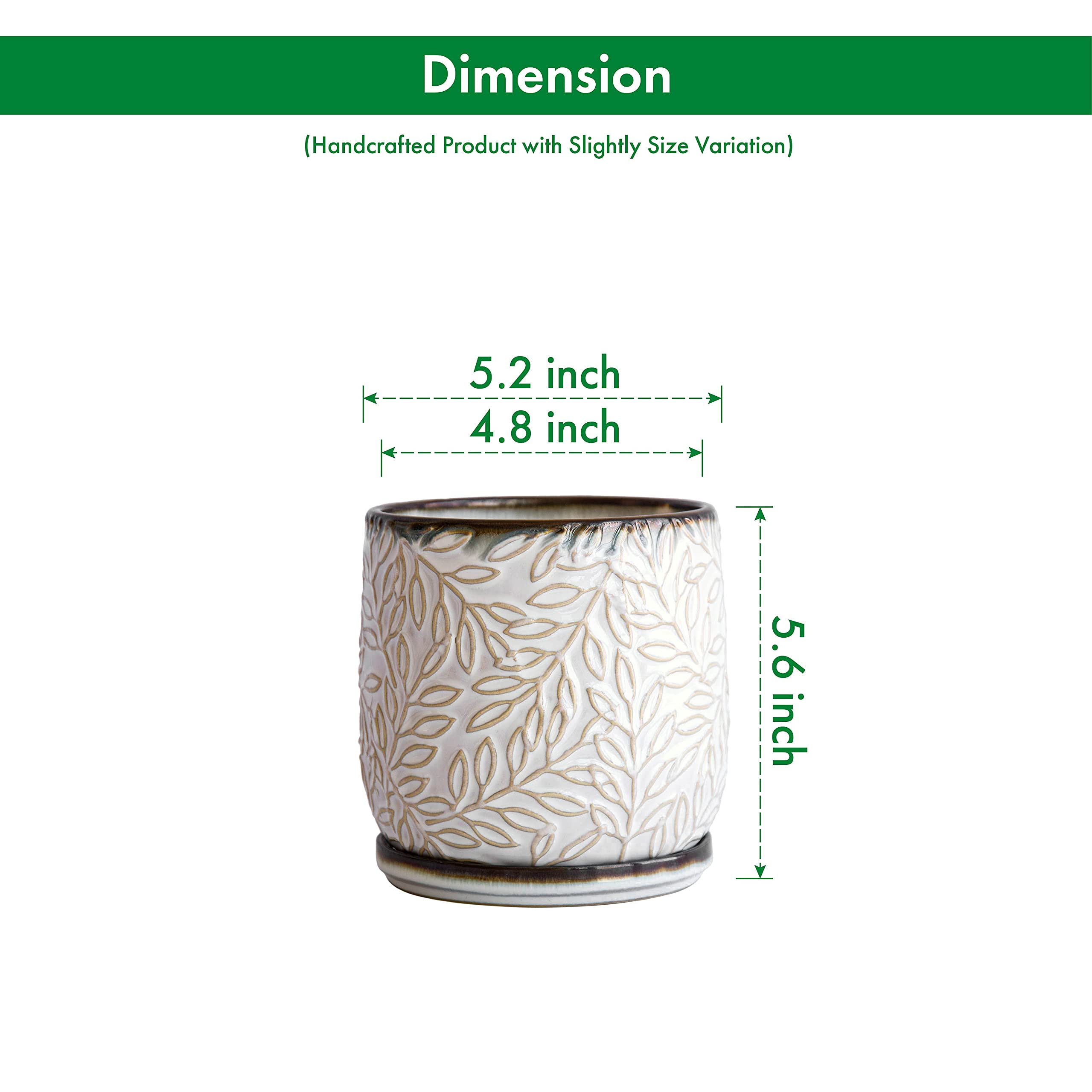 D'vine Dev stainless steel drainage mesh prevents soil spillage
