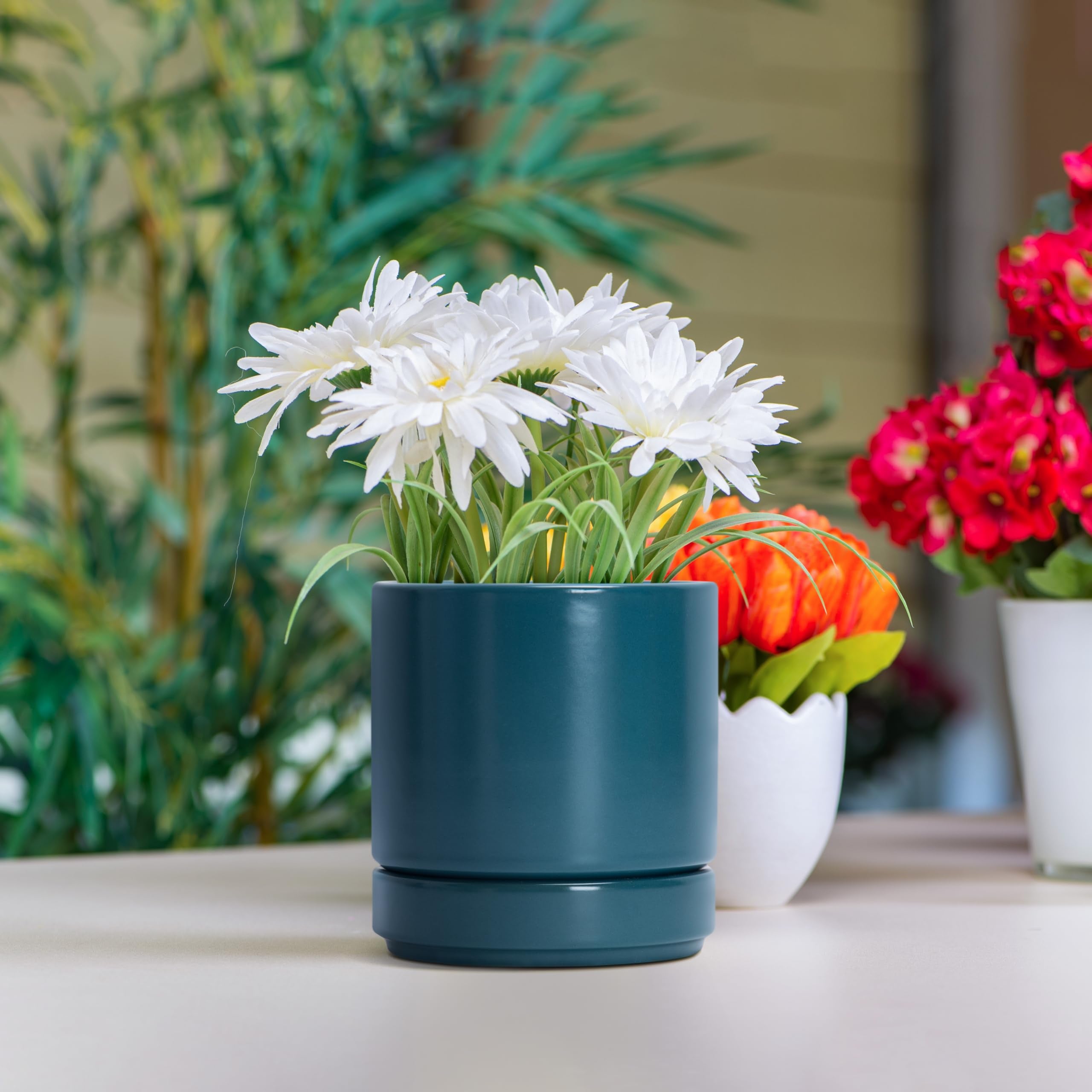 D'vine Dev teal planter packaging includes protection and easy replacement options