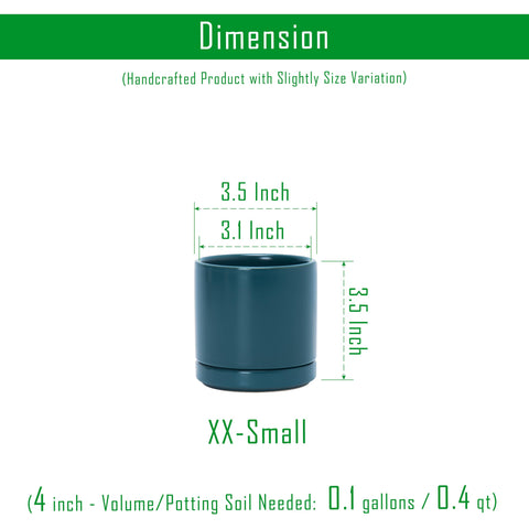 D'vine Dev teal planter with saucer for tidy drainage.