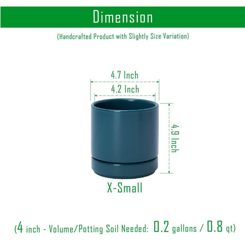 D'vine Dev teal planter with saucer included for mess-free setup