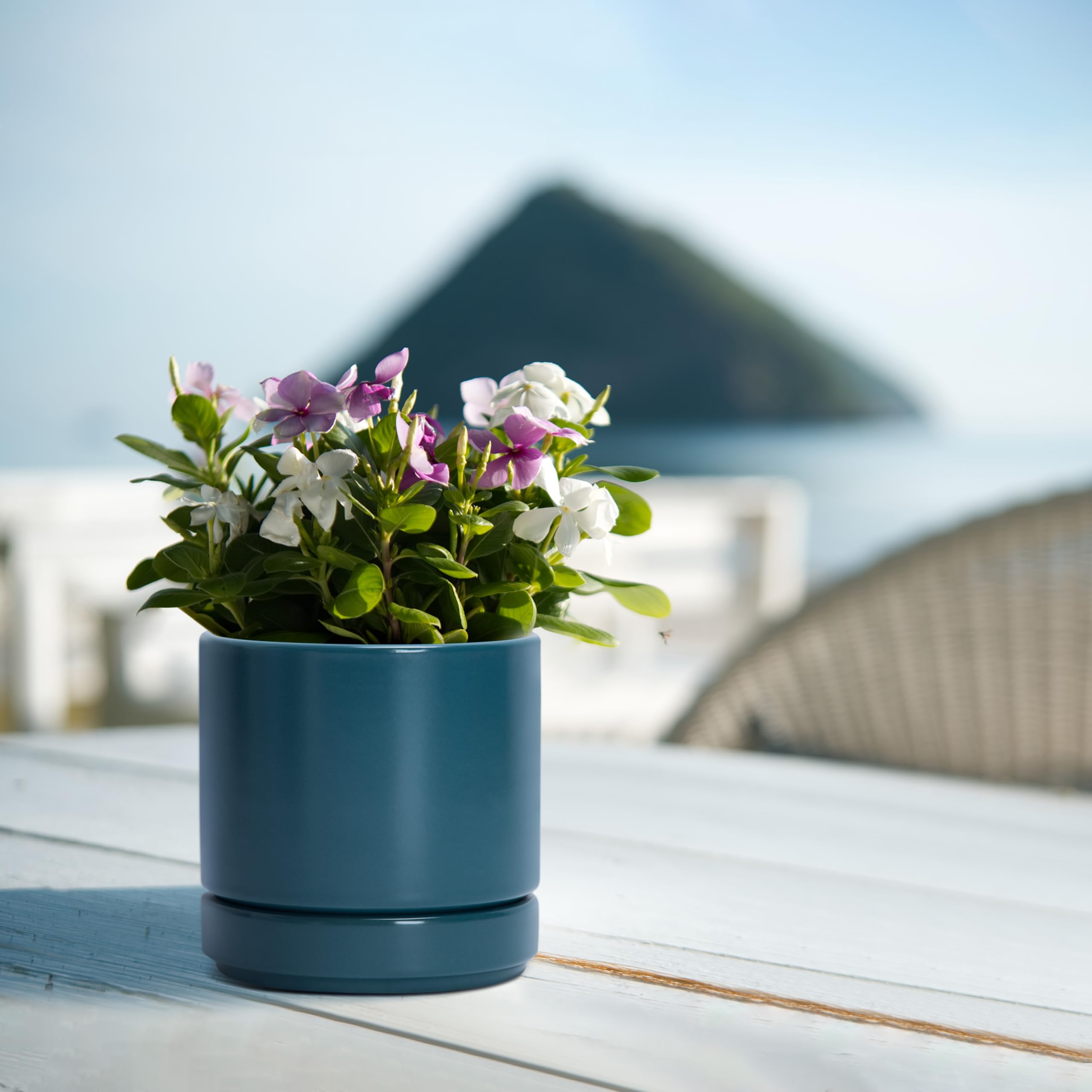D'vine Dev teal planter with scratch pad protecting surfaces during use