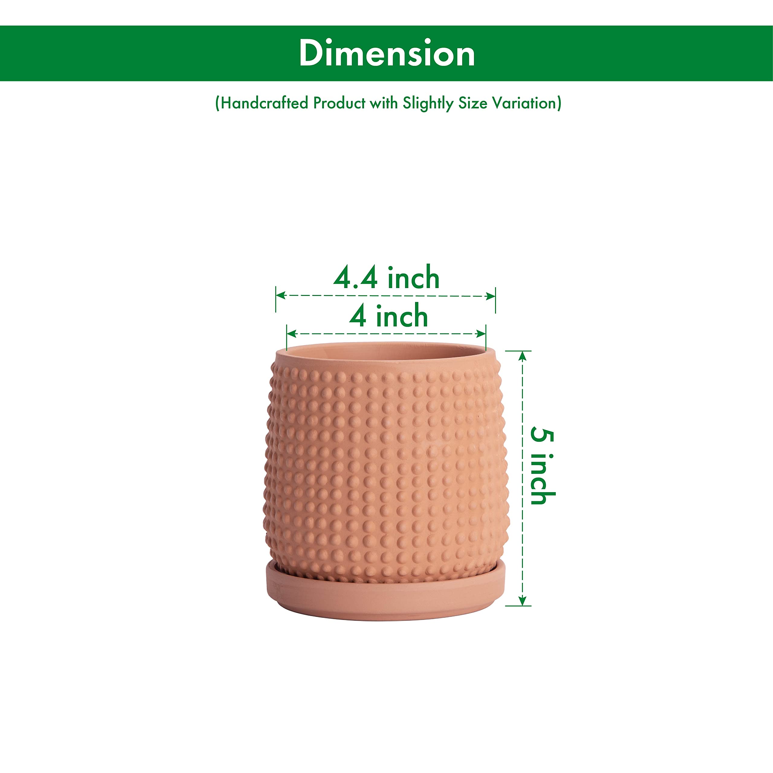 D'vine Dev beaded terracotta planter with detachable saucer for table use.