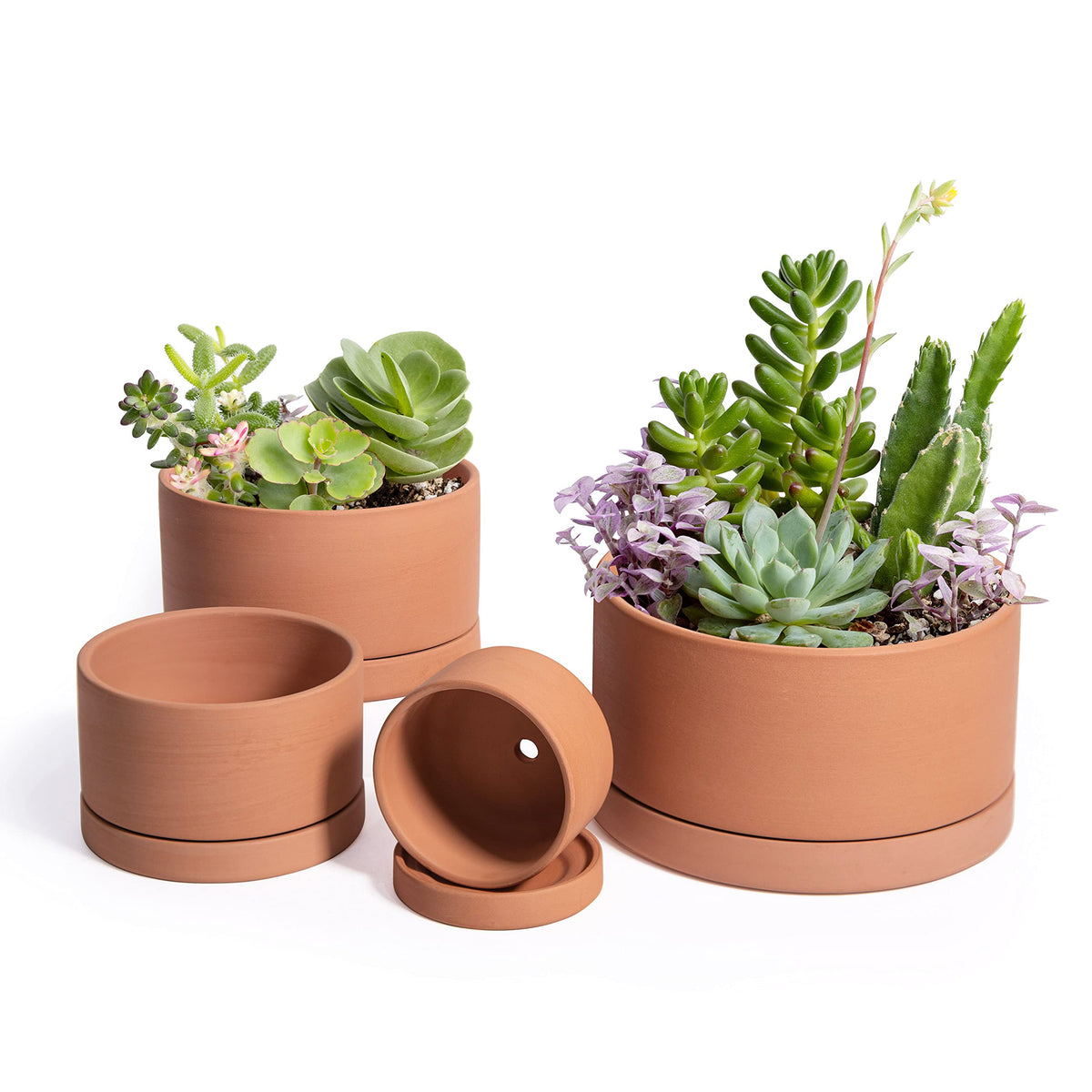 dvine-dev terracotta planter 3-inch close-up, breathable clay for succulents