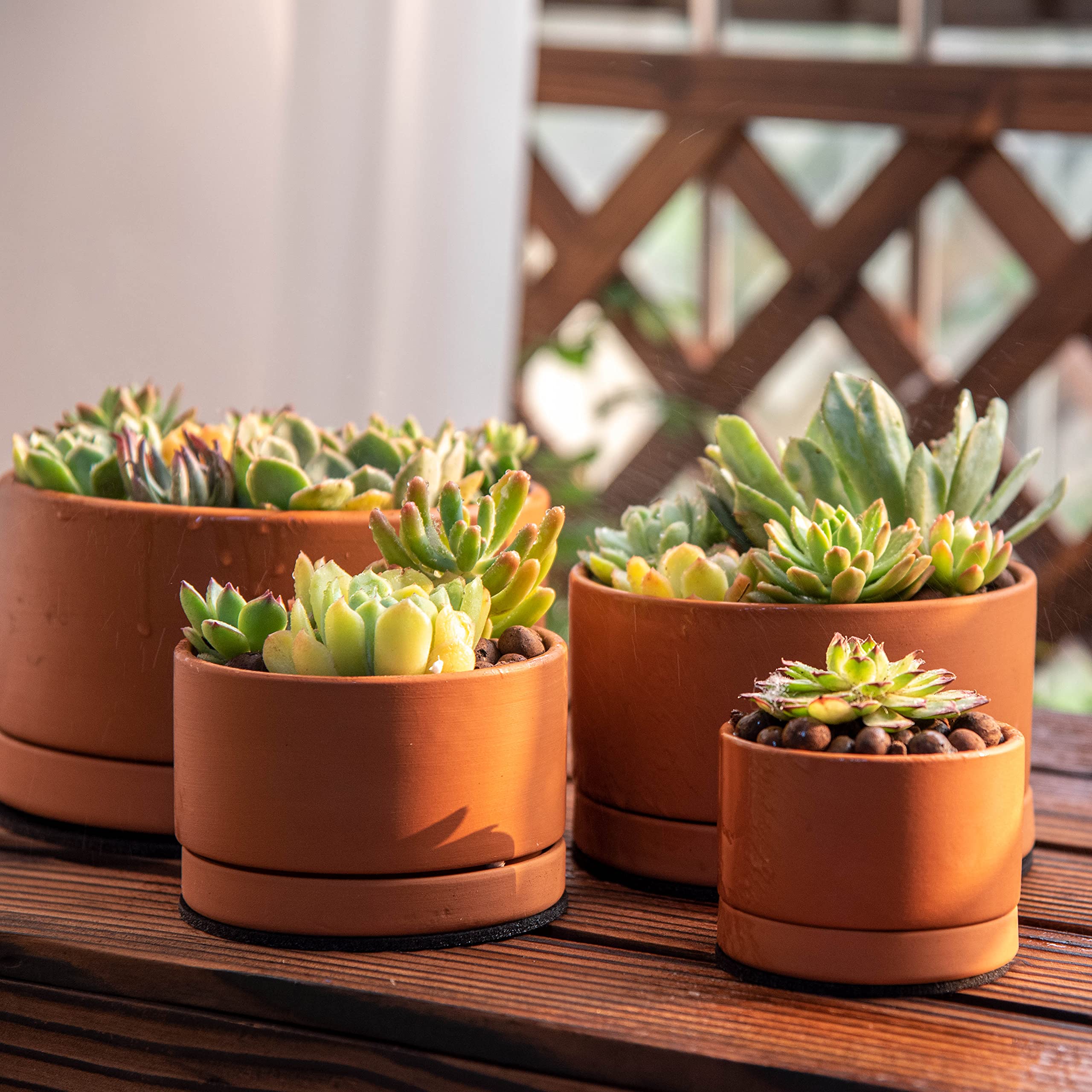 dvine-dev terracotta planter 4-inch close-up, ideal for compact succulents and herbs