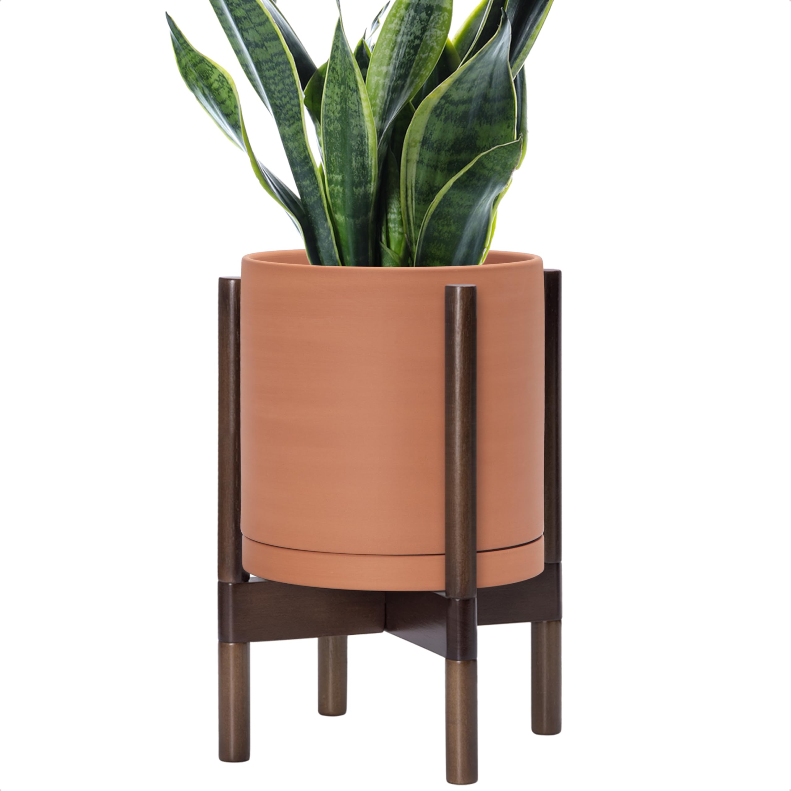 D'vine Dev terracotta planter with walnut stand for stylish interiors.