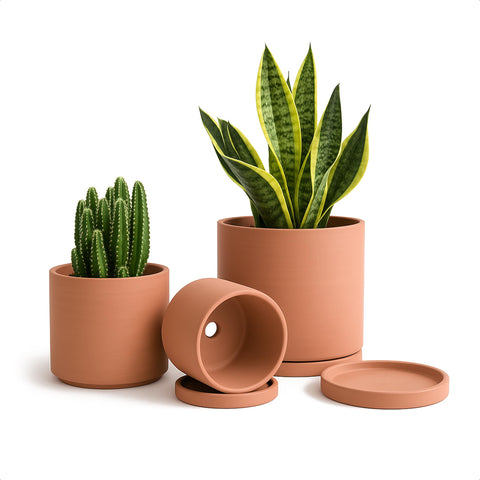 D'vine Dev terracotta pot 4.2-inch with drainage holes for succulents.