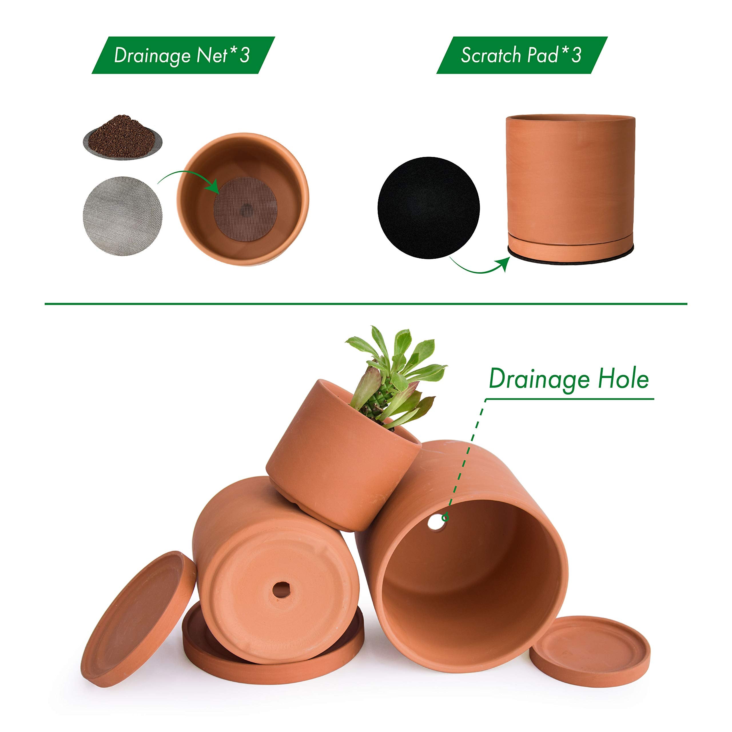 D'vine Dev 6.5-inch terracotta pot for small plant arrangements.