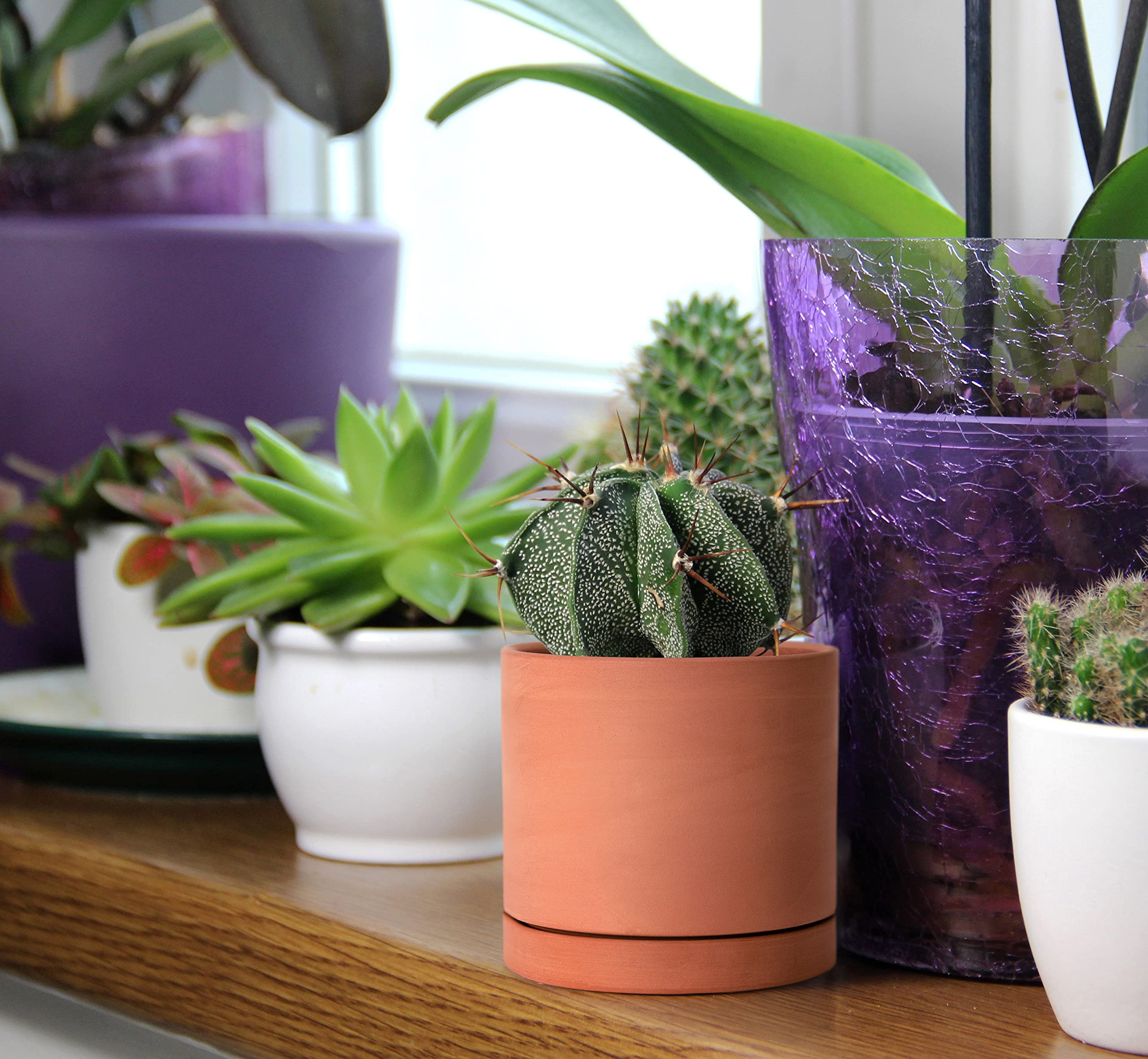 D'vine Dev x-small pot texture highlights handcrafted terracotta finish.