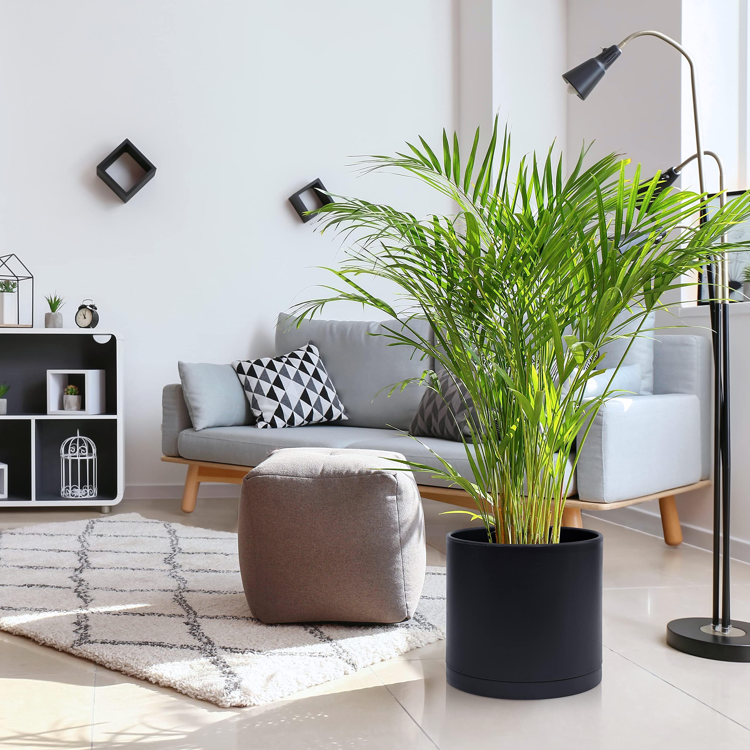 D'vine Dev thick-walled design signals robust durability for long-term use.