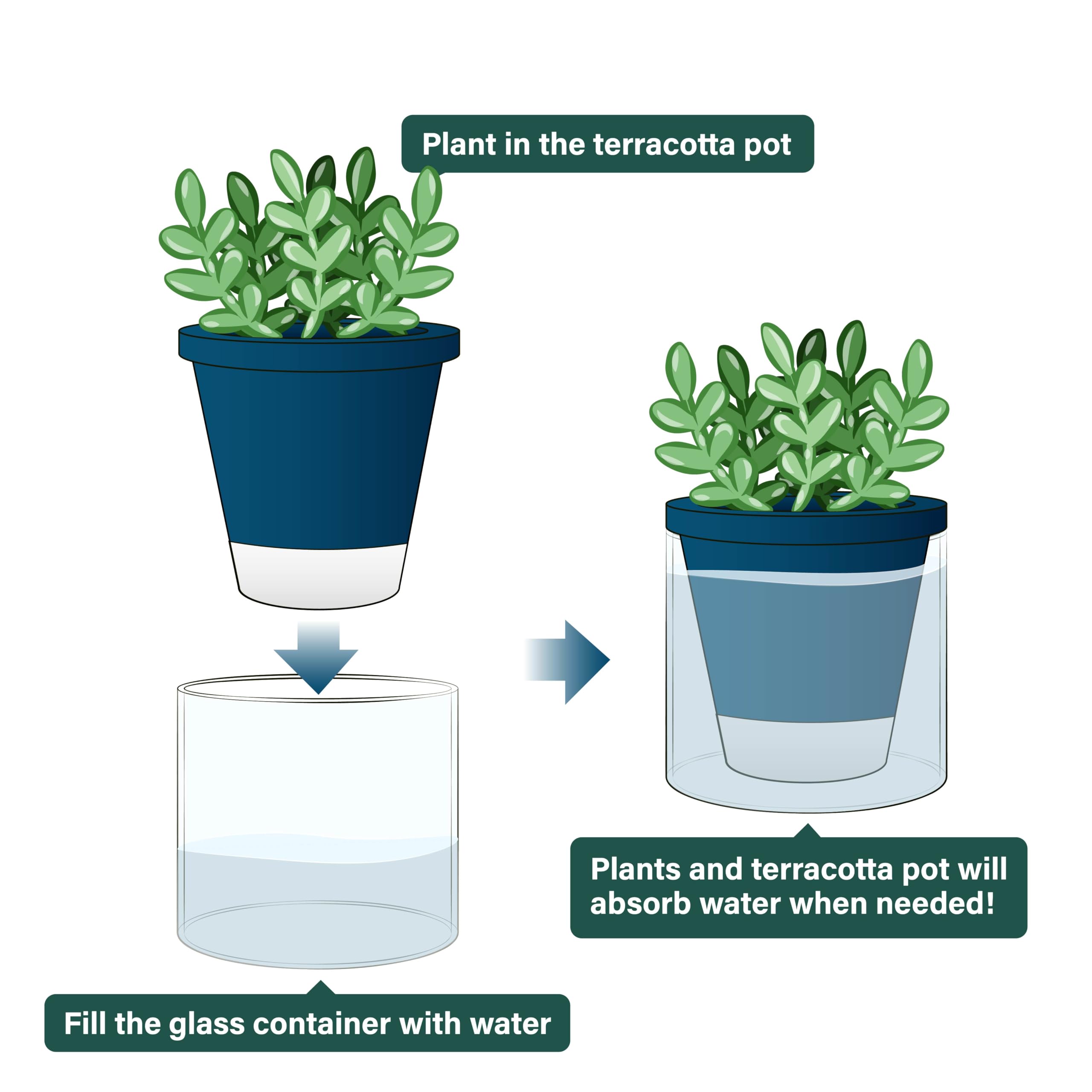 D'vine Dev unglazed bottom area reveals wicking design supporting self-watering science.