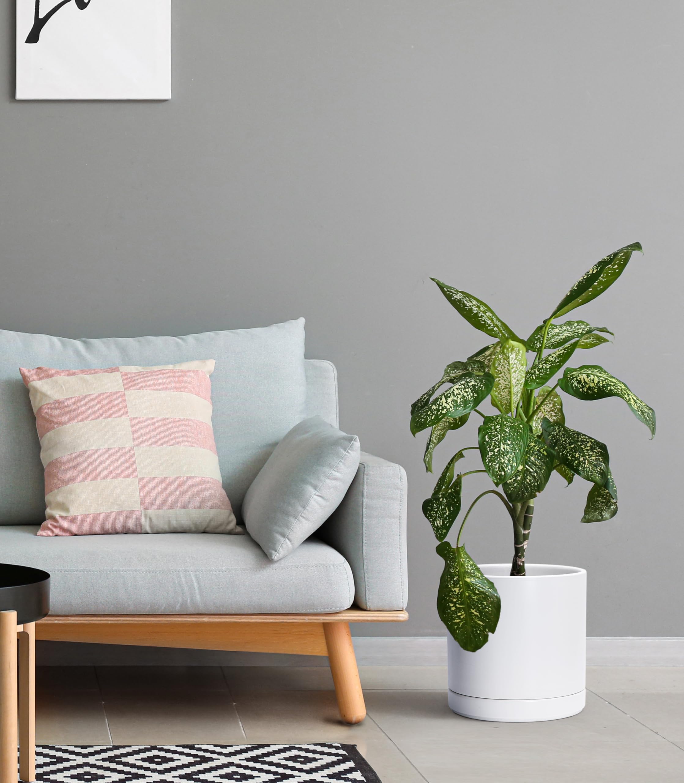D'vine Dev white ceramic planter outer detail for clean lines in modern interiors