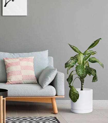 D'vine Dev white ceramic planter outer detail for clean lines in modern interiors