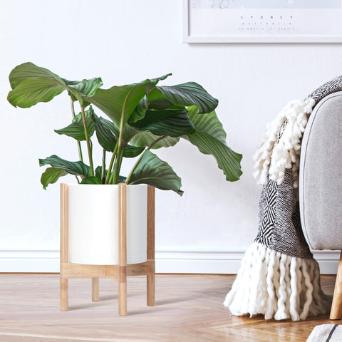 D'vine Dev Planter Pot wood stand in natural finish complements contemporary interiors.