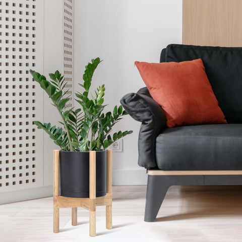 D'vine Dev natural wood stand complements the matte pot for a warm display.