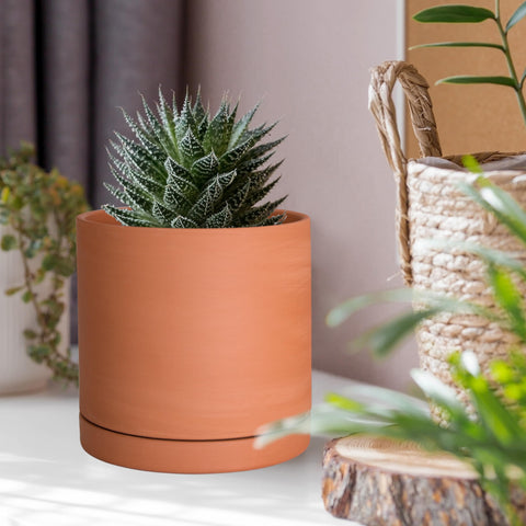 D'vine Dev X-Small pot fits compact succulents with precise interior diameter.