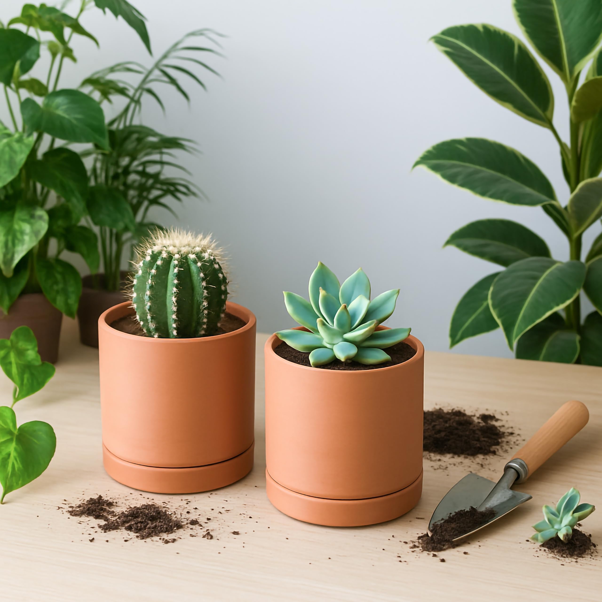 D'vine Dev X-Small pot with saucer included, protects surfaces while showcasing plants.