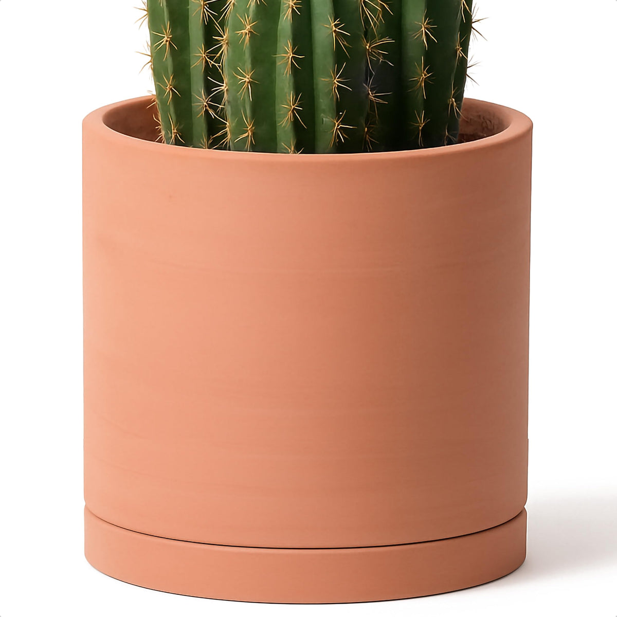D'vine Dev X-Large terracotta pot with drainage hole for healthy indoor plants.