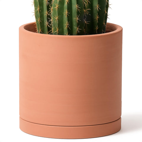 D'vine Dev X-Large terracotta pot with drainage hole for healthy indoor plants.