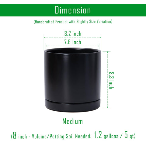 D'vine Dev cylindrical black planter with matching saucer for neat indoor decor.