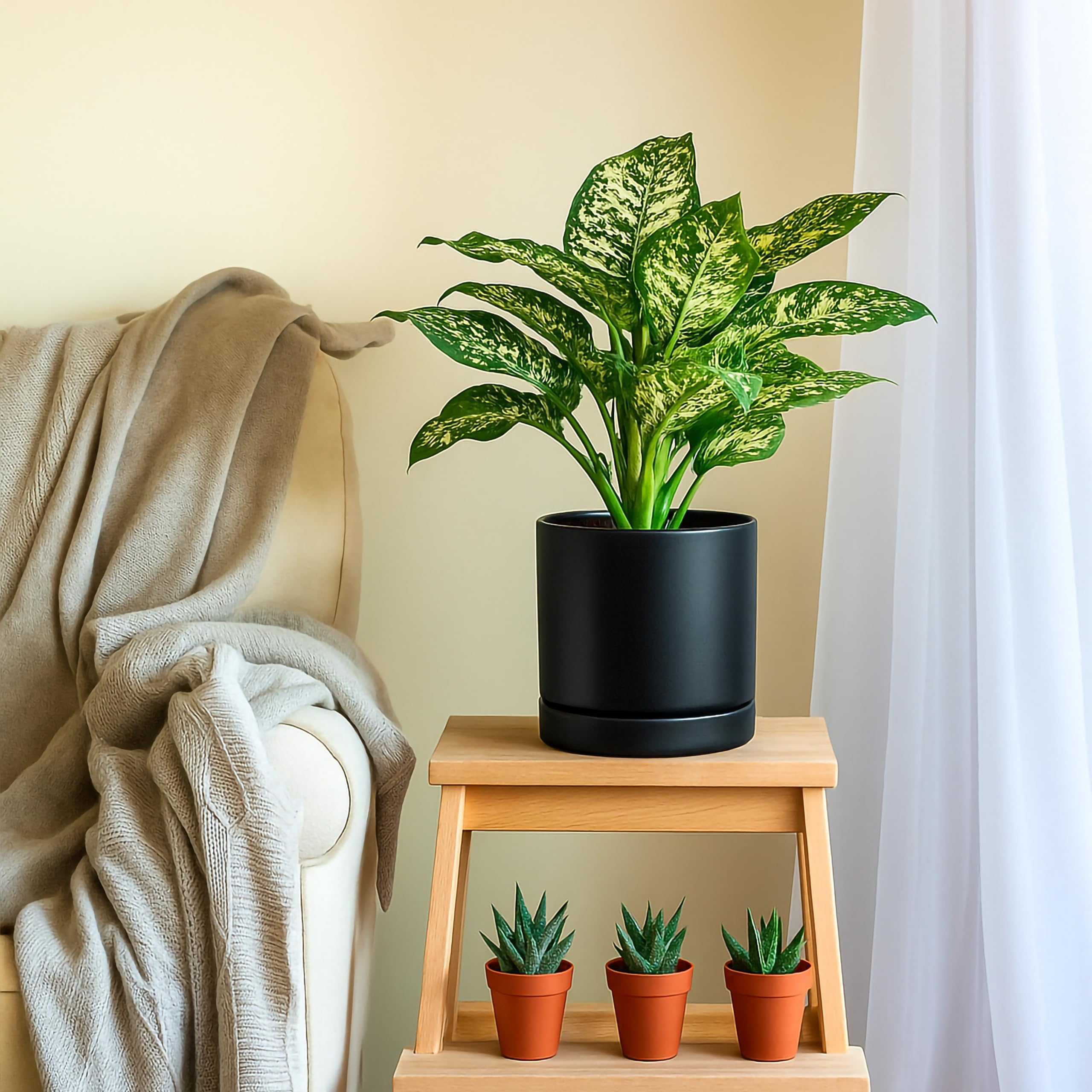 D'vine Dev planter setup showing stable mounting area for indoor use.