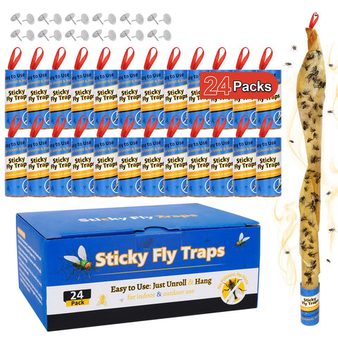Dwcom Trap 24-pack fly trap designed for discreet indoor use against fruit flies