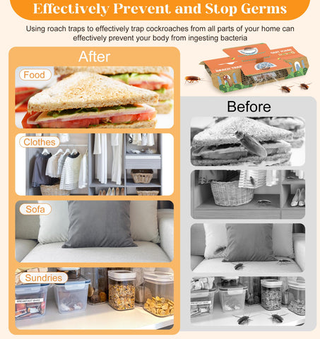 Dwcom Trap child and pet friendly design supports safe home use.