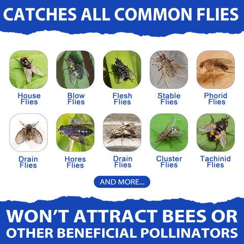 Dwcom Trap refills in a sunny garden setting illustrating simple application