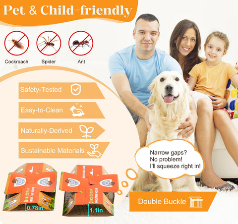Dwcom Trap indoor infestation solution that protects homes without harsh sprays.