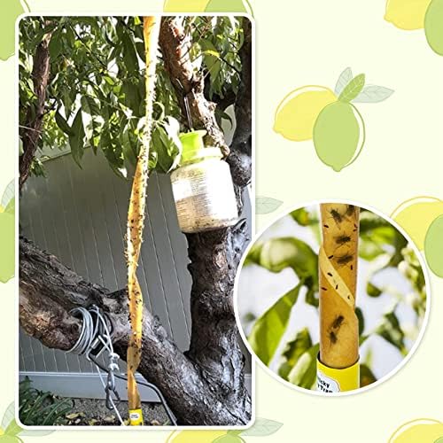 Dwcom Trap outdoor hanging fly trap keeps patios pest-free.
