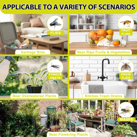 Dwcom Trap outer shell with bird guard protects birds while trapping pests.