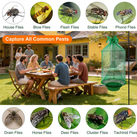Dwcom Trap bait bowl inside the trap for strong attractant effect.