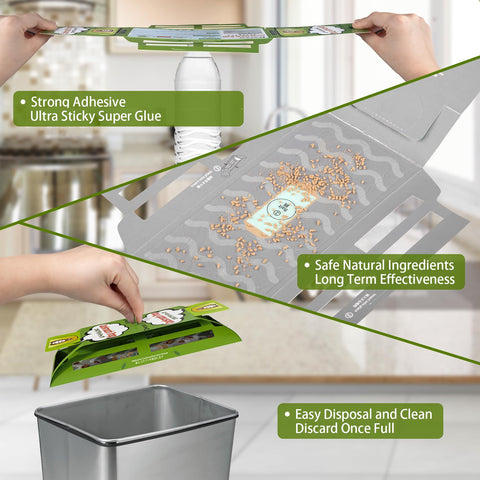 Dwcom Trap kitchen placement example emphasizes discreet indoor use