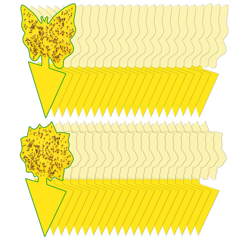 Dwcom Trap yellow gnat traps in packaging attract pests indoors
