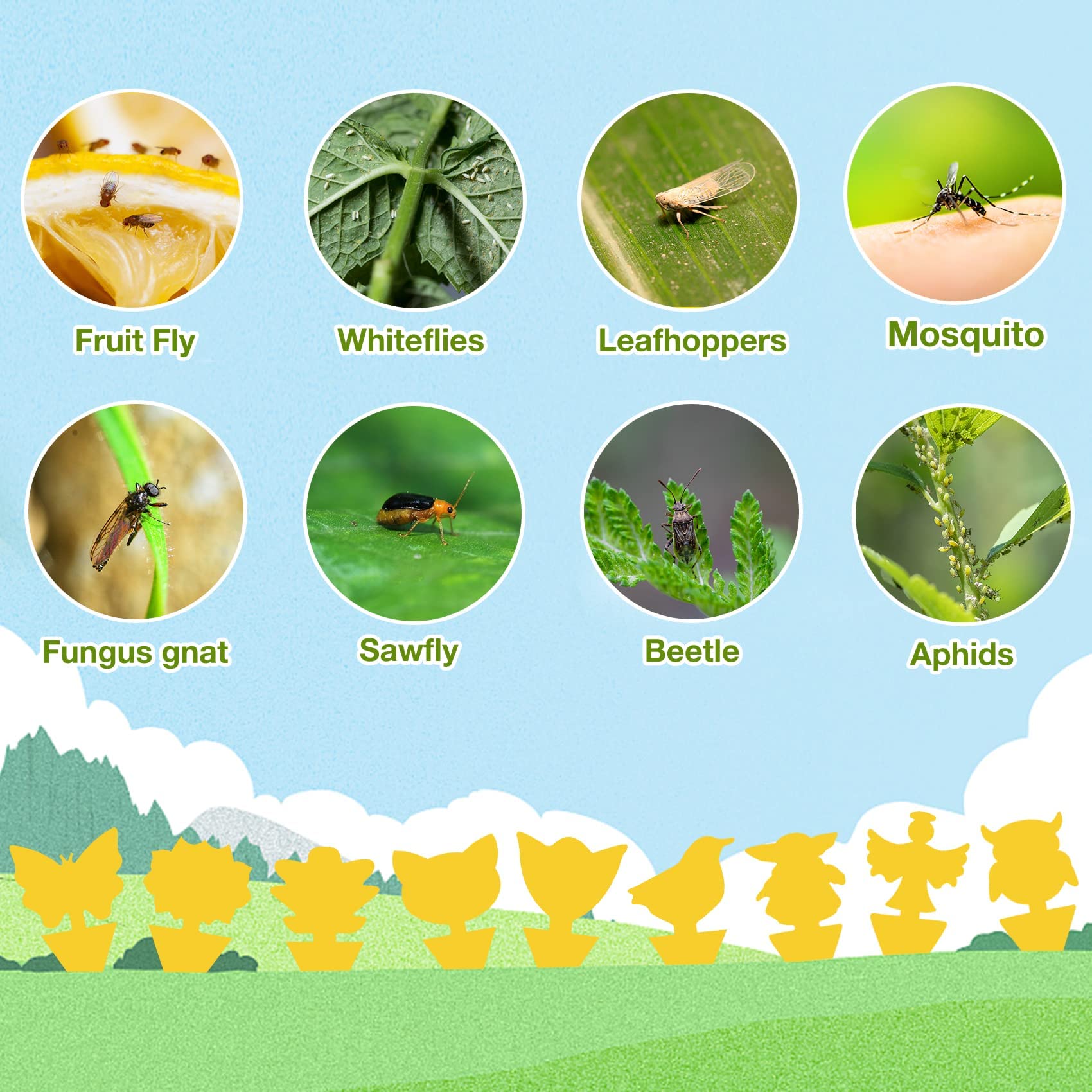 Dwcom Trap value kit supports both indoor and outdoor pest control.