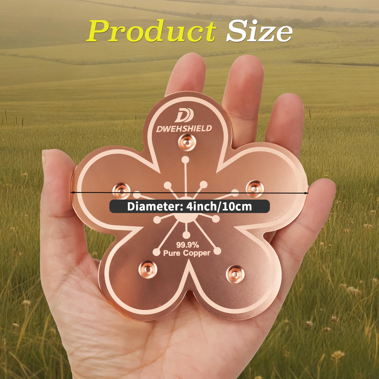 DWEHSHIELD bird lovers' copper disk improves water aesthetics and use.