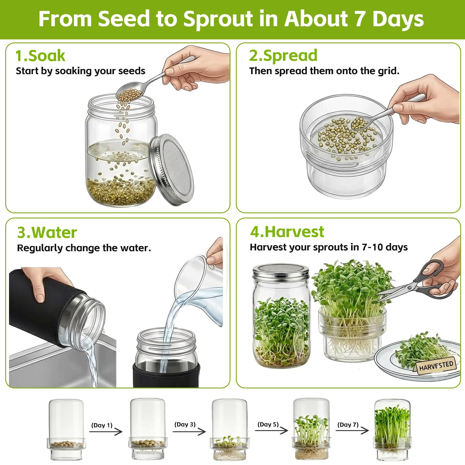 DWETG crisp alfalfa sprouts enhance salads and sandwiches.