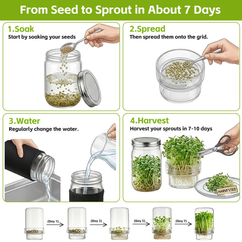 DWETG crisp alfalfa sprouts enhance salads and sandwiches.