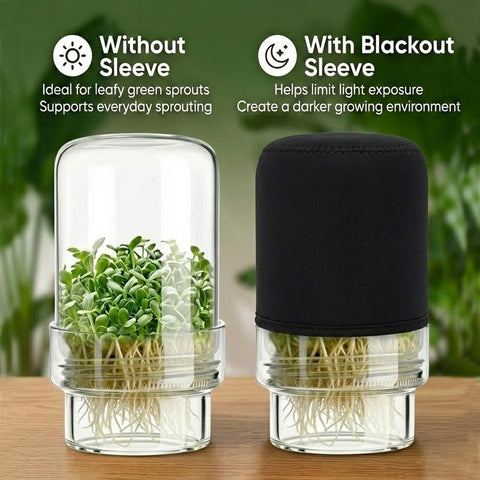 DWETG fresh broccoli sprouts ready to add to bowls and meals.
