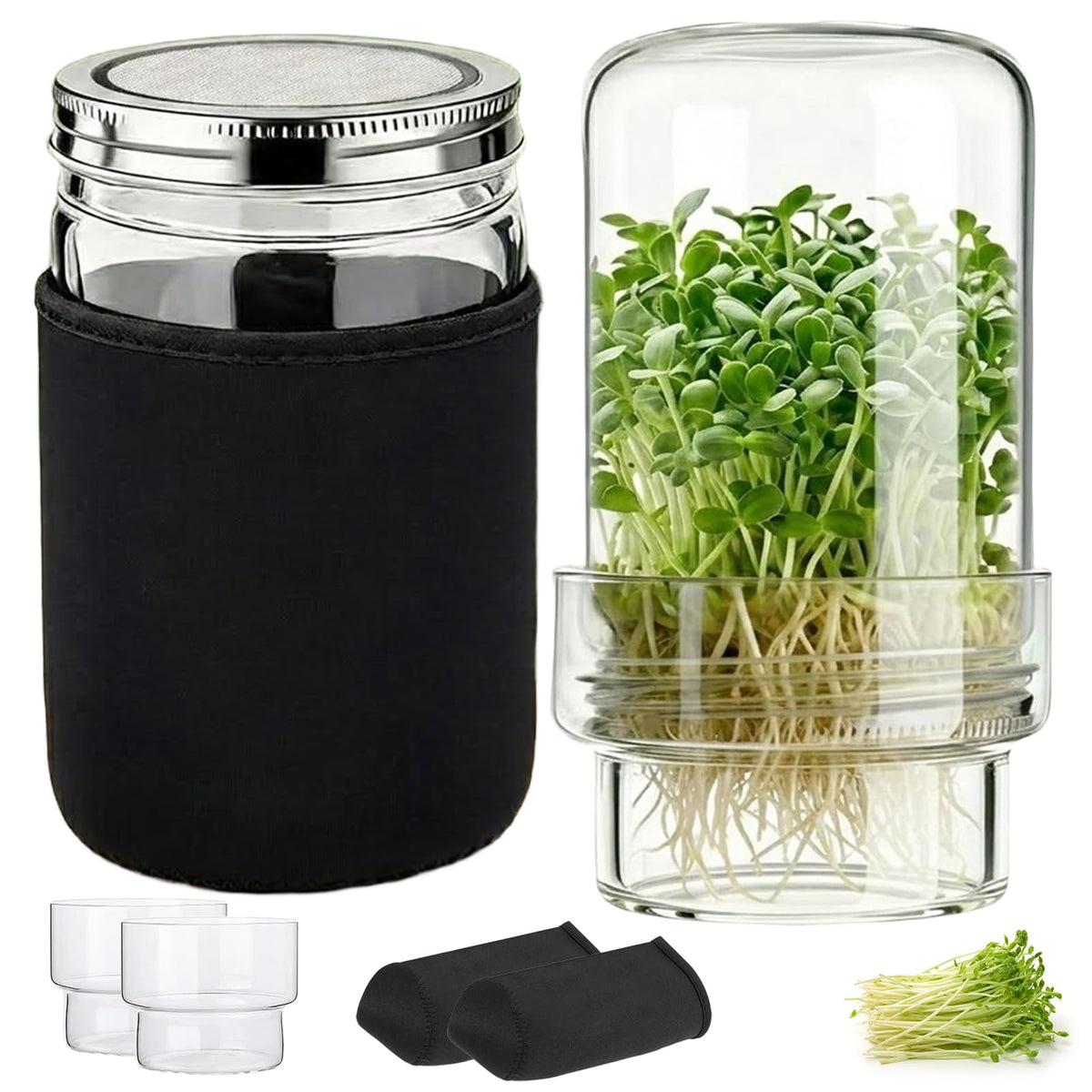 DWETG seed sprouting kit with wide-mouth jars for year-round sprouts.