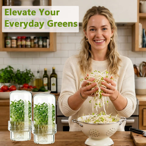 DWETG stainless steel mesh lids enable airflow for healthy sprouts.