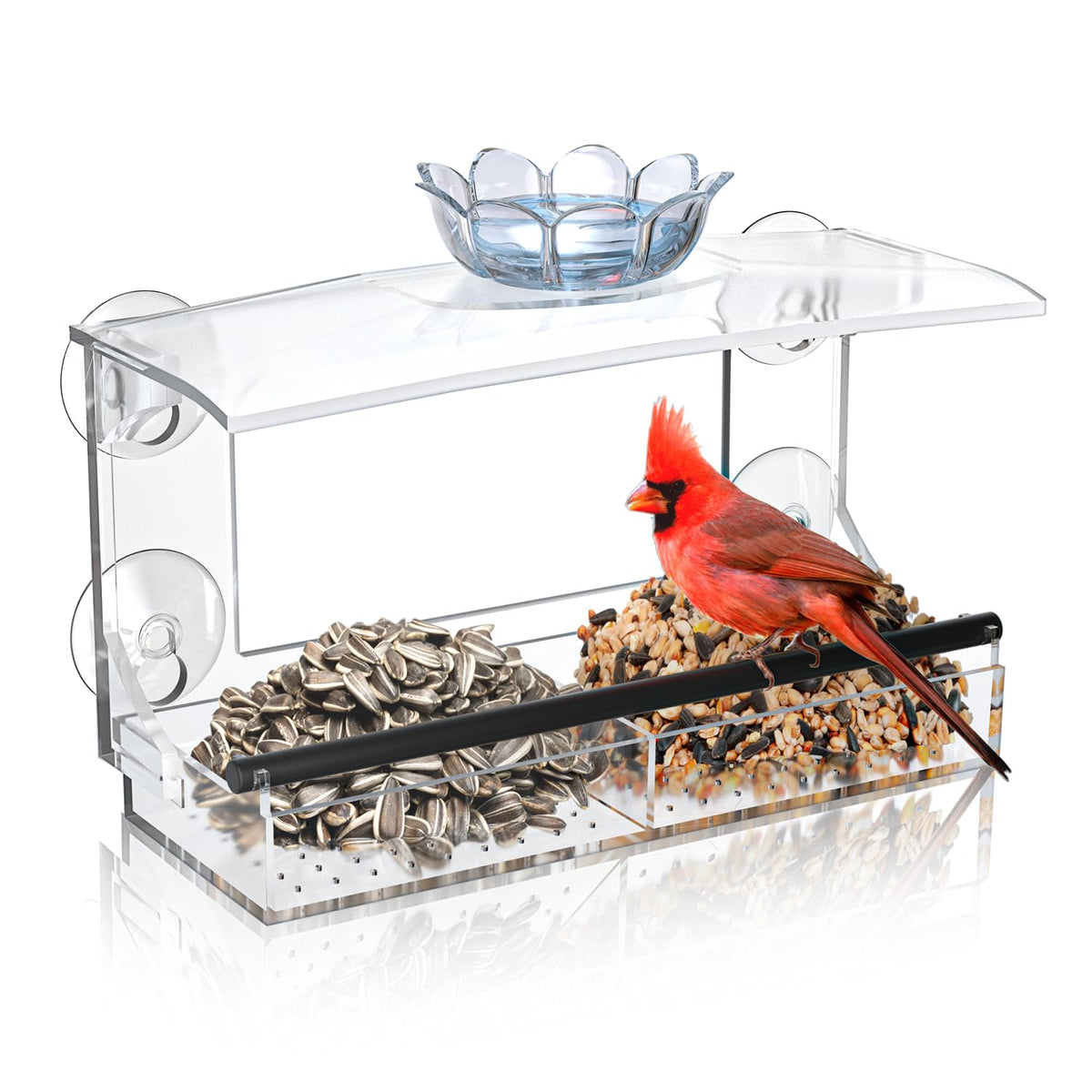 DY-SKTY clear acrylic window feeder for up-close indoor bird viewing.