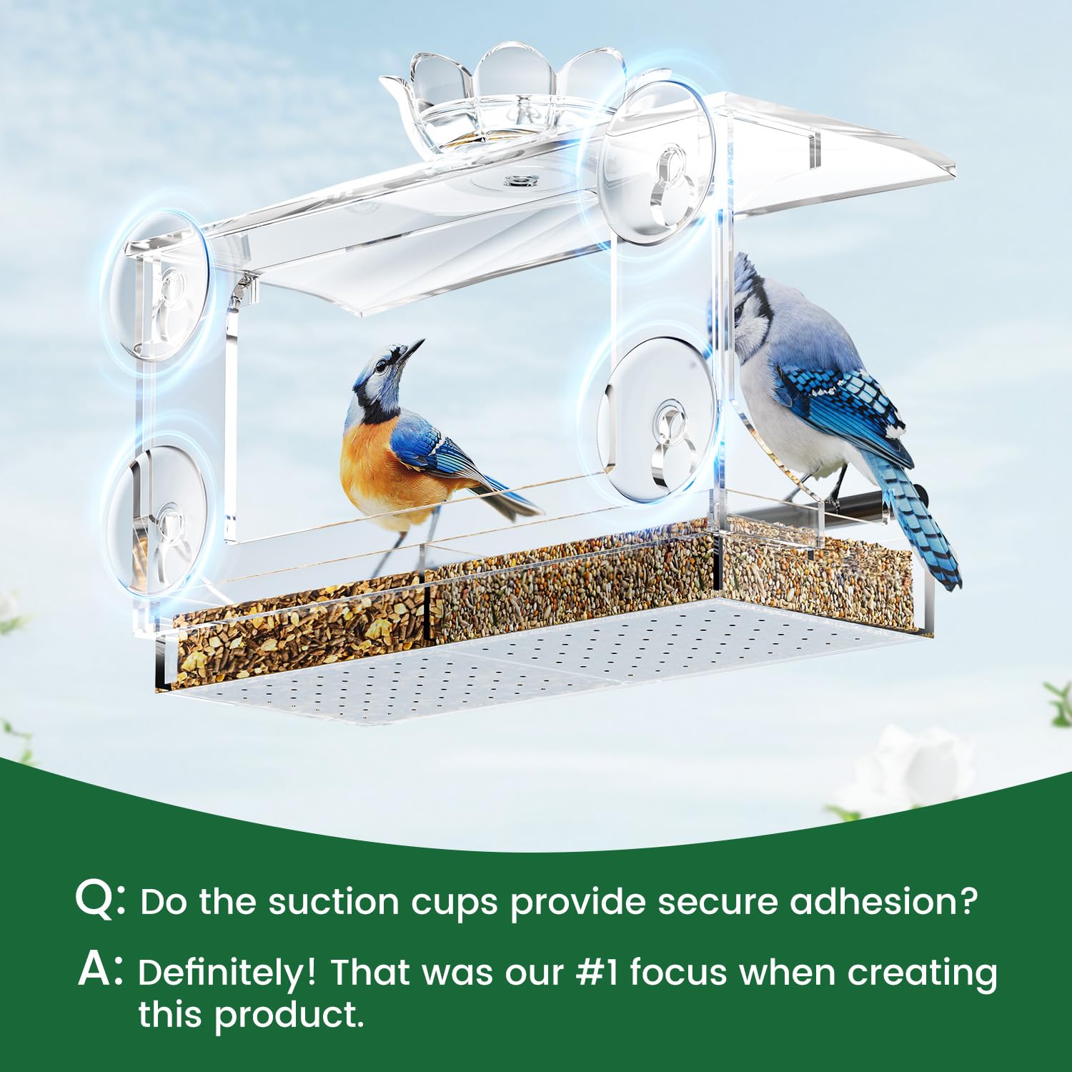 DY-SKTY detachable seed tray enables easy cleaning and refilling.