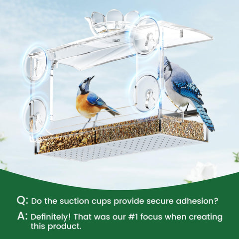 DY-SKTY detachable seed tray enables easy cleaning and refilling.