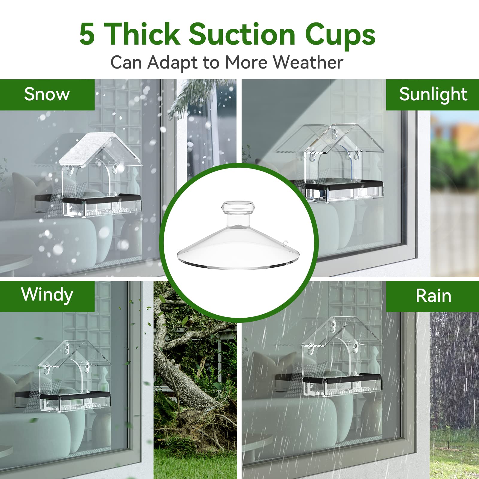 Five extra-strong suction cups secure the feeder in all weather conditions.